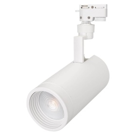 Трековый светильник Arlight LGD-ZEUS-2TR-R100-30W Day4000 025934