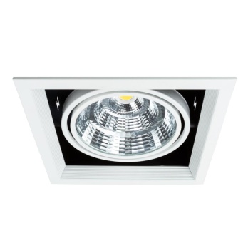 Встраиваемый светильник Arte Lamp Merga A8450PL-1WH