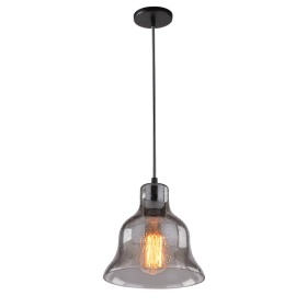 Подвесной светильник Arte Lamp Amiata A4255SP-1SM