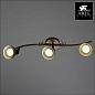 Спот Arte Lamp Focus A5219PL-3BR