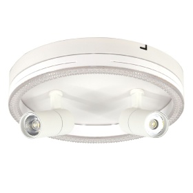 Потолочный светильник Escada 20044SMA/03LED WH