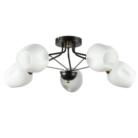 Потолочная люстра ARTE Lamp A2706PL-5CK