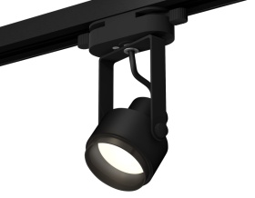 Трековый однофазный светильник Ambrella Light Track System XT6602020 (C6602, N6121)