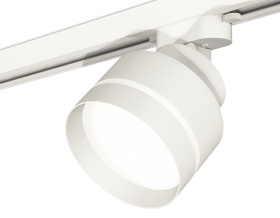 Трековый светильник Ambrella Light Track System XT8101025 (A2524, A2105, C8101, N8461)