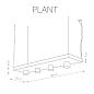 Подвесной светильник Nowodvorski Plant 9382