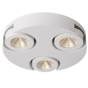 Светодиодный спот Lucide Mitrax Led 33158/14/31